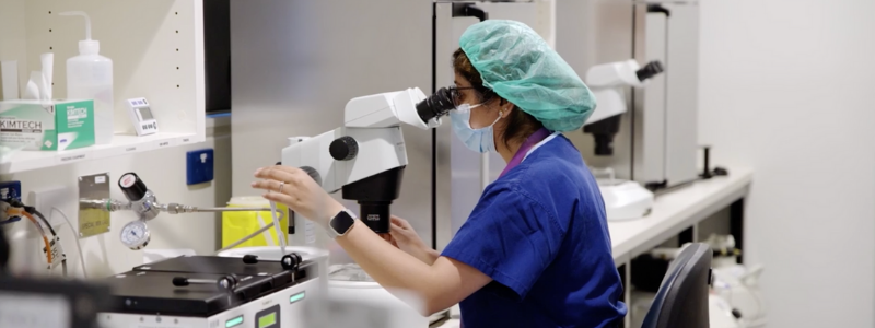 Embryologist looking through microscope