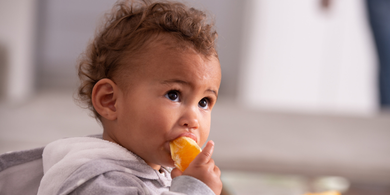 Baby eating orange