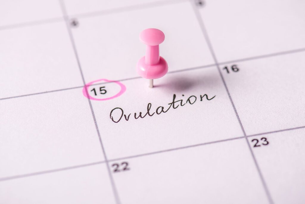 Ovulation